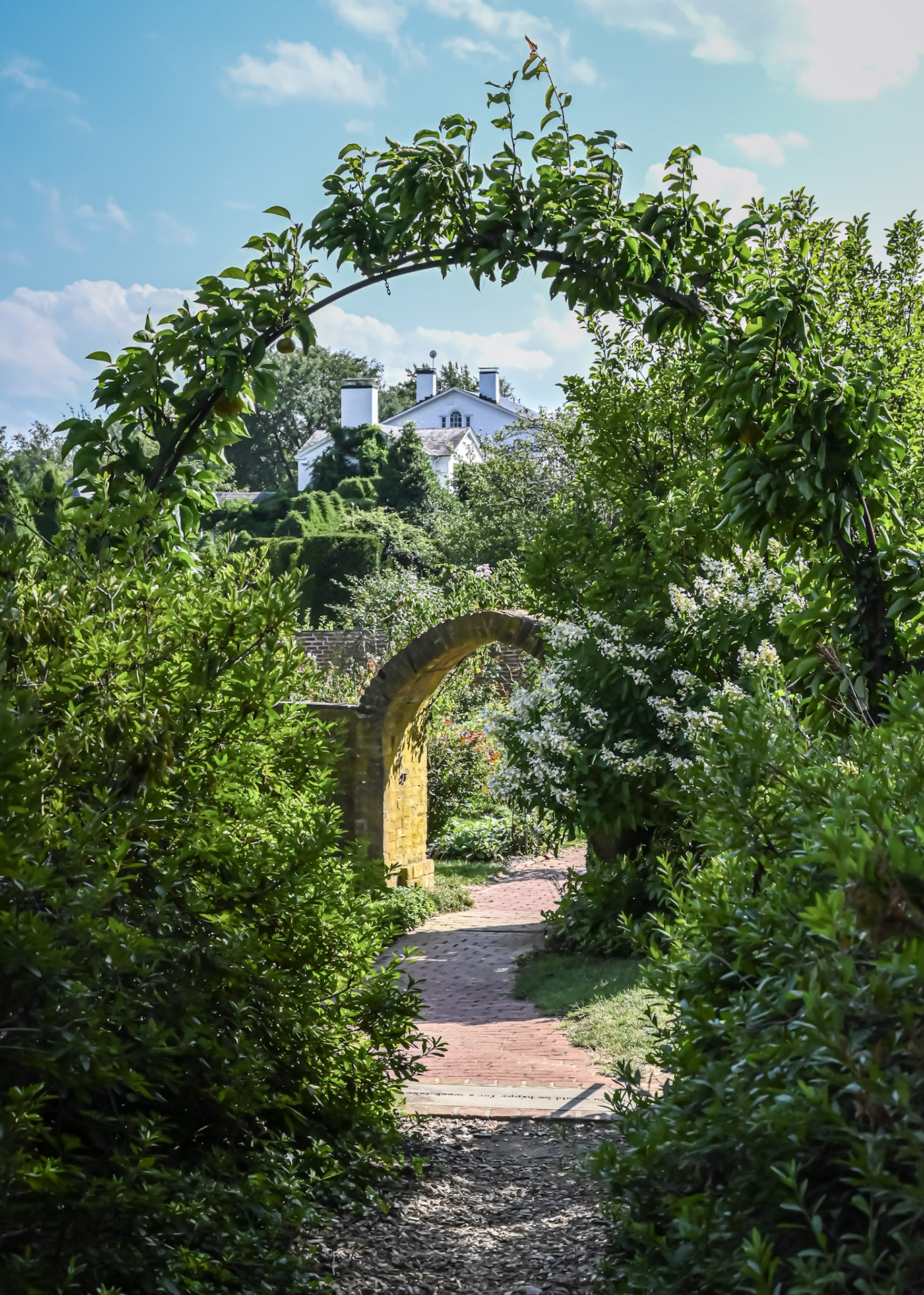 Assigned Pictorial Level 3 3rd Place The Garden Path.jpg